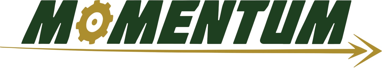 Momentum_vector_No_MT copy (002)