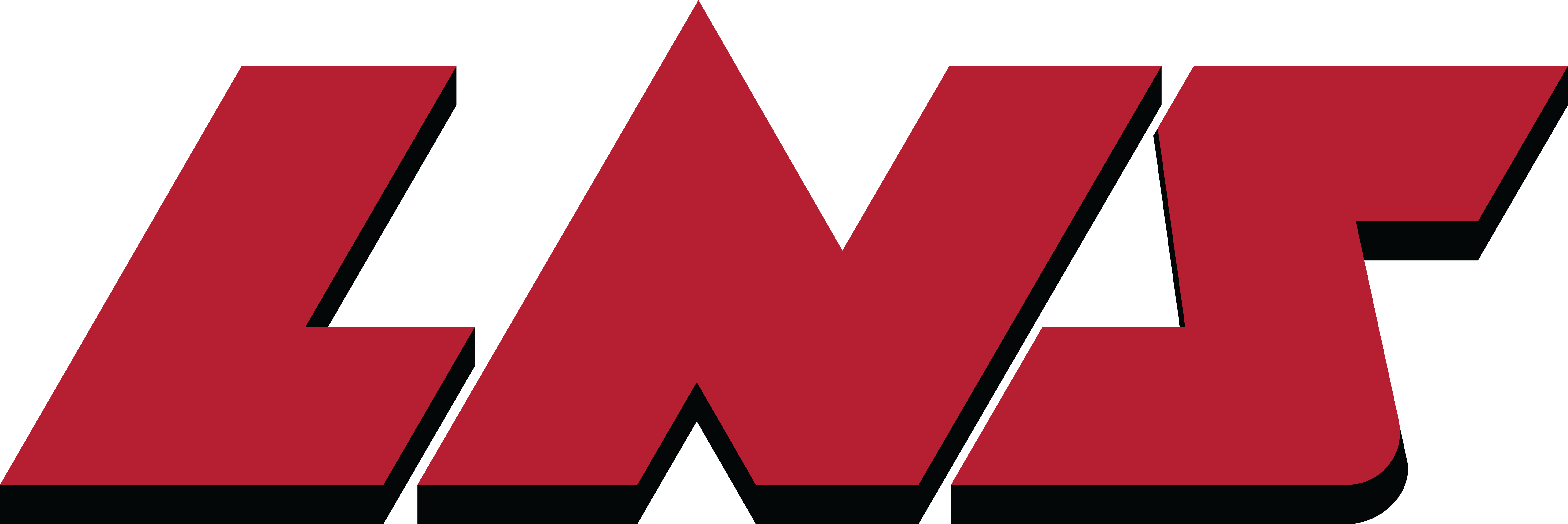 LNS logo